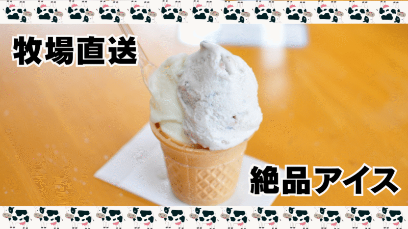 写真：boss & mom