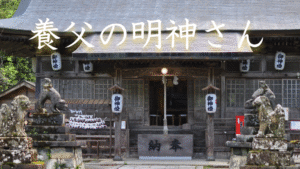 【養父市】紅葉が美しい養父の明神さん 〜悠久の歴史が残る神社〜