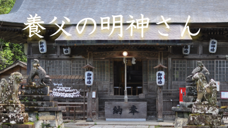 写真：養父神社