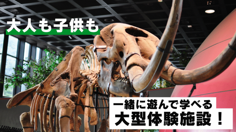 写真：人博