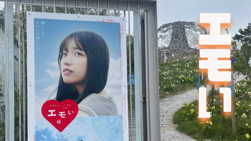 写真：エモい展示
